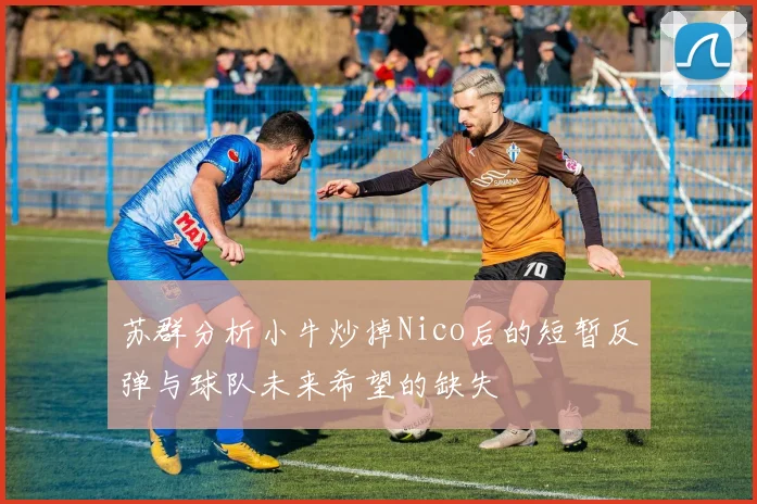 苏群分析小牛炒掉Nico后的短暂反弹与球队未来希望的缺失