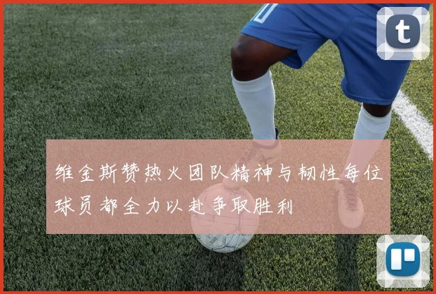 维金斯赞热火团队精神与韧性每位球员都全力以赴争取胜利